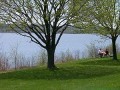 Kempenfelt Park